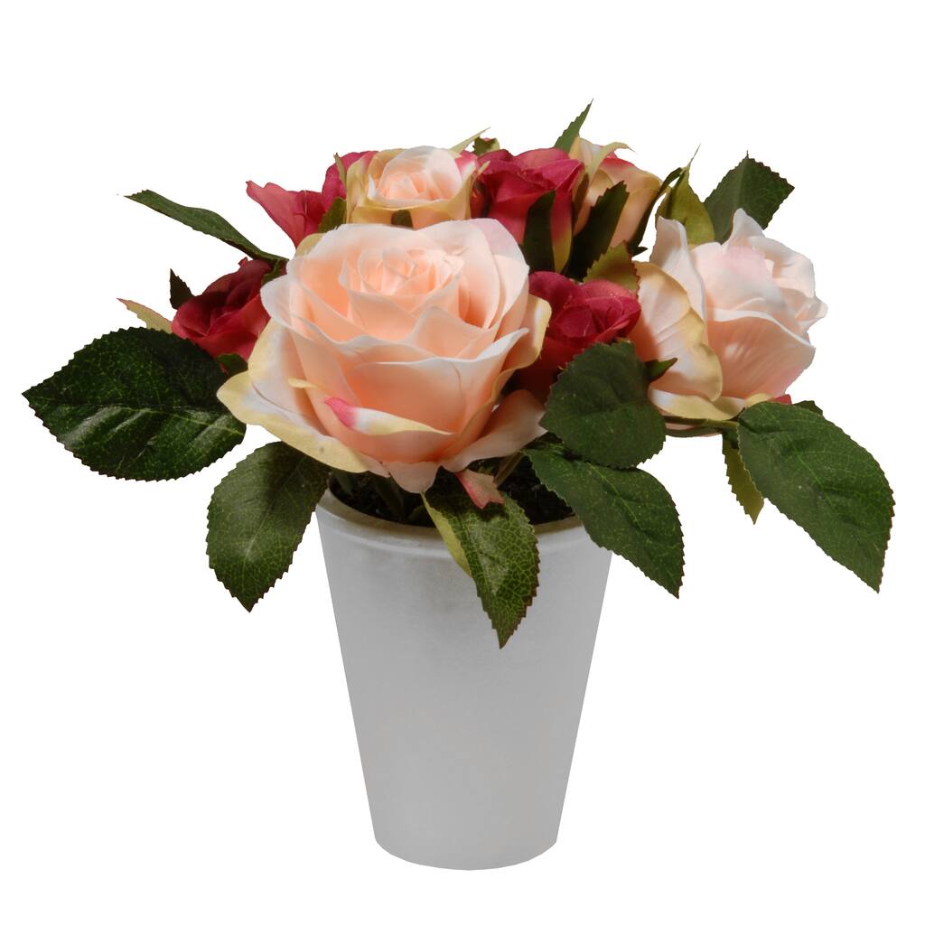 D222395S_1.jpg img